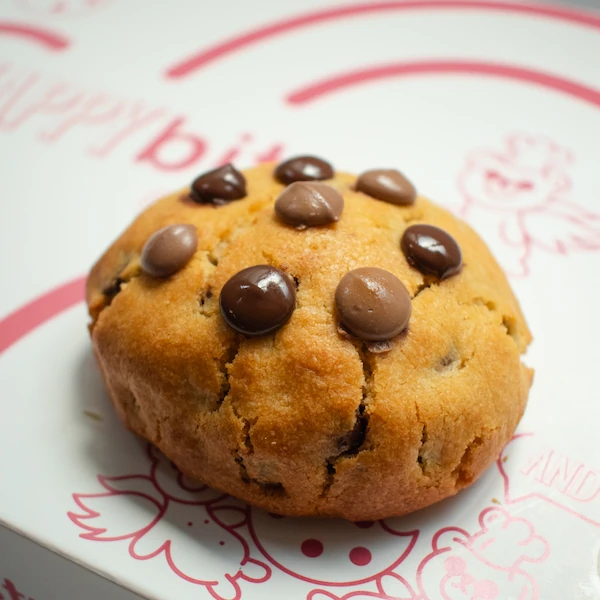 galleta estilo nueva york new york cookie chispas de chocolate ciudad de mexico (5)