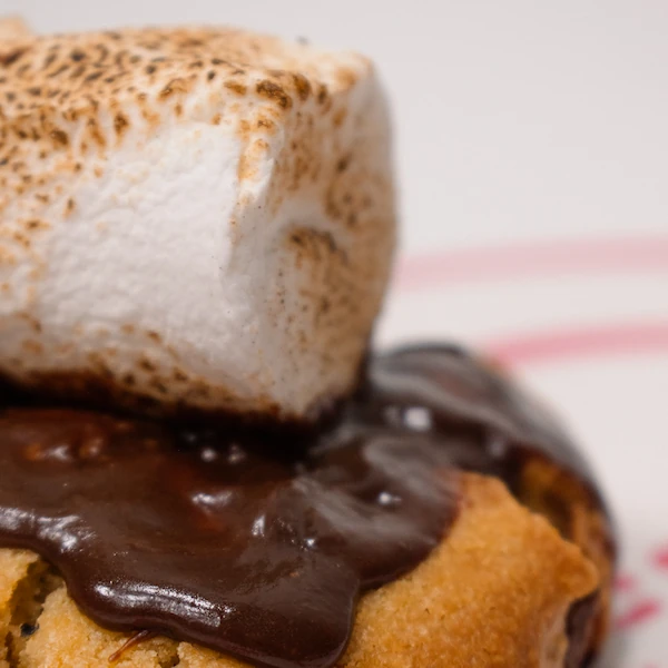 galleta new york smores cdmx (10)